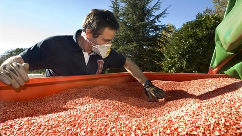 L’argument de la semence certifiée qui va coûter 3 à 4 € de moins à l’hectare semble le plus percutant, selon un responsable semences d’une coopérative présent lors de la réunion céréales à paille des régions Nord et Est organisée par le Gnis début mai. © J.-M. NOSSANT